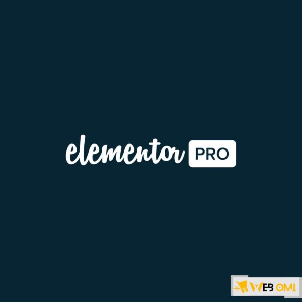 Elementor Pro - The Most Advanced Website Builder Plugin